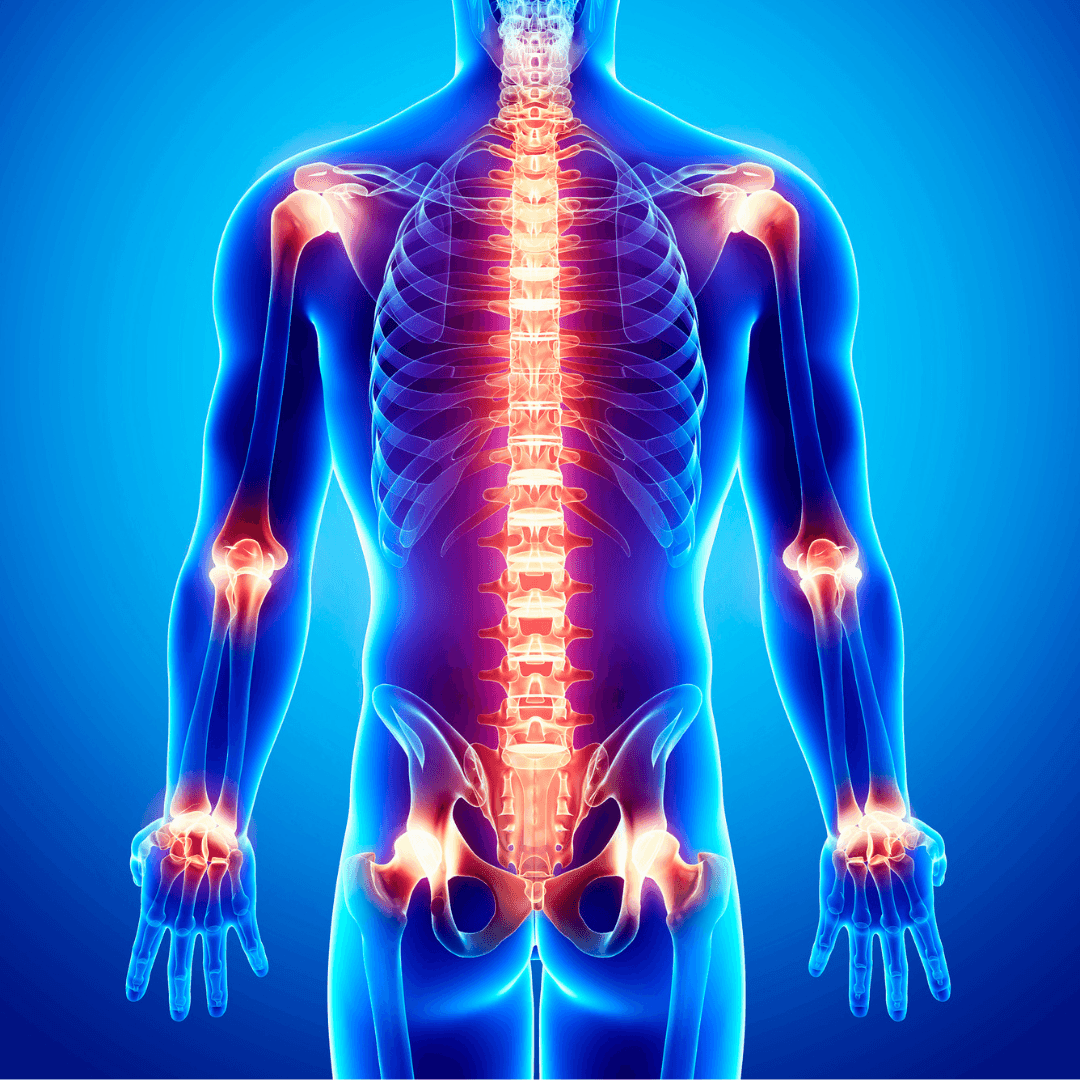 REVA Multifunctional Infrared Heat, PEMF Belt for Enhanced Wellness and Relaxation